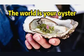 为啥老外超爱说这句：The world is your oyster