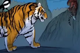 虎王山君 第一集