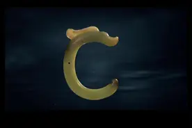 中央电视台CCTV10探索发现栏目《玉龙寻踪》系列之二#精彩片段视频封面