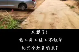 #日东水库 #牛形排 #钓友 #现场实拍 #钓鱼人 #大山深处自然美 #钓友一家亲 视频封面