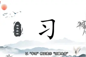 字形演变—习，你知道字的起源吗？一起来学习吧！请勿盗用
