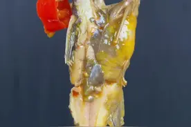 #酸菜黄辣丁#川菜 黄辣丁这样做肉非常嫩 吃起来没有一点腥味 赶紧动手做起来吧！