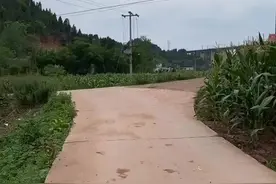 上周五接周敏敏回家的视频火了，答应你们的找祖祖来欢迎她，粉丝大佬们请查收，视频太长分两次发@周敏敏同学视频封面