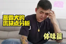恶霸犬这个体味如何？铲屎官给你来个详细分析！视频封面