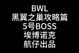 BWL黑翼之巢5号BOSS埃博诺克击杀攻略视频封面
