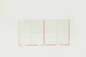 217.猞猁：[ shē lì ] 哺乳动物，外形像猫，但大得多。尾巴短