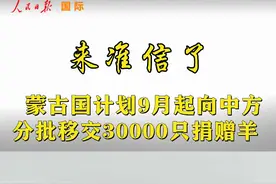 来准信了！蒙古国计划9月起向中方分批移交30000只捐赠羊#30000只羊#视频封面