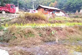 地连那些网里养了好多石蚌，听说才15块钱一斤#现场实拍