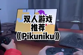 双人游戏推荐《野餐大冒险》#switch游戏推荐 #switch #xbox