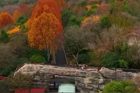 合肥野生动物宣布搬迁肥东泉山，祝贺肥东#治愈系风景 #旅行推荐官 #合肥