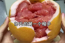 冬天的第一个柚子教程来了，错过了十根烤肠，都不能错过的小熊柚子#小泉小电健康小电