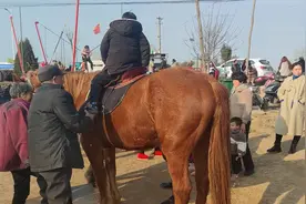 网红打卡地：蚌埠三岔河湿地公园，一家三口的游玩天堂