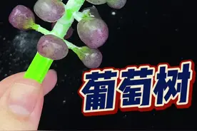 渐变色🍇葡萄树🌲#diy #玩具 #食玩
