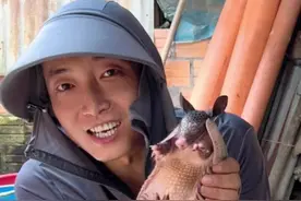 #保护野生动物人人有责 #亚马逊雨林#南美洲 保护野生动物就是保护我们人类自己视频封面