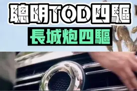 皮卡知识：长城炮的TOD四驱系统详解#皮卡大叔 #长城炮专题 @勘路者汽车视频封面