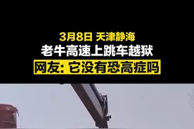 老牛高速跳车越狱消防员火速吊回货车。网友：它没有恐高症吗？#天津消防 #救援名场面视频封面