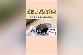 男孩子的头发为什么不能摸？#同桌#男生头发不能摸 #timing