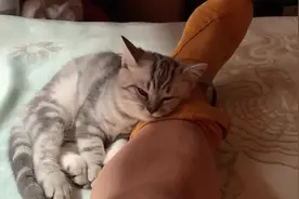 梦见泡脚，暖暖的。醒来竞然是他…………[偷笑][偷笑][偷笑]视频封面