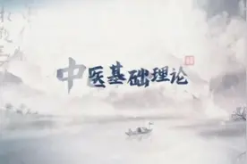 潘毅《中医基础理论》 肺为娇脏 #潘毅 #中医基础理论 #藏象学说