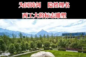 将头深深低下的人，双手捧着一把锋利的剑——这是西工大著名的“为国铸剑，隐姓埋名”雕塑，凝结着西工大的立校之魂。为西工大点赞。#校园 #创作灵感 #传递正能量 