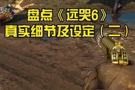 6代动物系统更加丰富，勉强能拍部动物世界了#主机游戏 