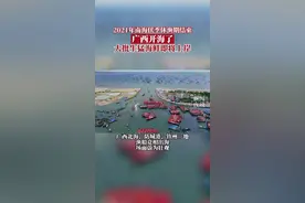 广西开海啦！吃货们的快乐又回来啦！北海、防城港、钦州数千渔船扬帆出海，大批生猛海鲜即将上桌！#广西#海鲜 视频封面