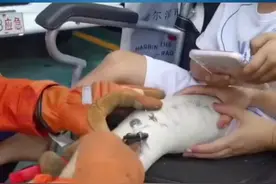 这下全国都知道东北石膏厉害了！小朋友打石膏医院拆不掉，消防员费力将其拆下视频封面