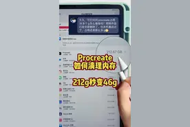 Procreate如何清理内存？212g变46g#procreate #画画 #板绘 #ipad绘画