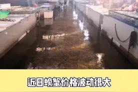 烟台开海前一周，为什么螃蟹🦀 价格波动大？小编实探海鲜市场视频封面
