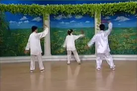 李德印太极功夫扇第一套背面演示#太极养生动起来 #全民健身你我同行 #我运动我健康我快乐 视频封面