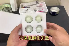 包百分之百70受精蛋，一个没孵出来，你们见过这么大的鸽子蛋吗？