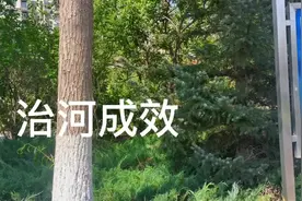 城市雨水收集与处理、河道管理与绿化。#聆听大自然