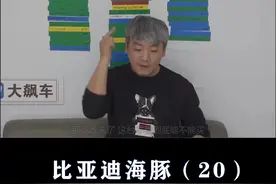 比亚迪海豚：值不值得买？#比亚迪 #比亚迪海豚 #大飙车 #带你懂车 视频封面