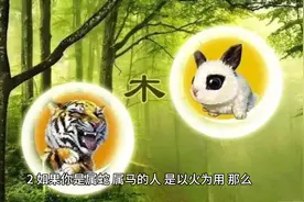 通过自己的生肖来选手机号 大吉大利视频封面