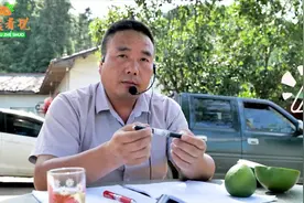 用磷酸二氢钾控梢，居然要搭配尿素？#柑橘种植