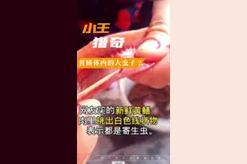 看完黄鳝体内的大虫子🐛就问你还能吃的那么香吗😭😭#科普 #黄鳝#美食#创意灵感#我要上热门视频封面