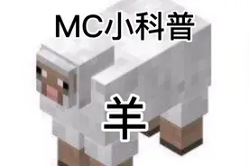 #我的世界 羊的介绍，希望对你们有帮助！
