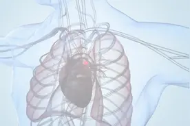 导管三维#三维动画视频封面