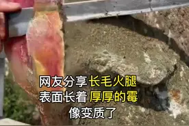 发霉长毛的火腿？#科普 #美食