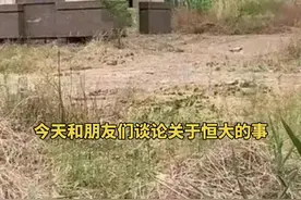 今天朋友和我说了一个恒大最牛的烂 尾楼，武汉的恒大旅游城和他比那是差远了，那就是恒大御湖天下，就一个耗资千万的大门楼，其他啥也没有，关键是恒大说还没有烂尾，因为他们根本还没有开工。#恒大御湖天下#恒大旅游城 #许家印 #恒大集团#别墅装修视频封面