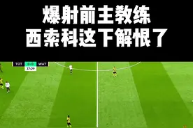 爆射前主教练 西索科这下解恨了#热刺视频封面