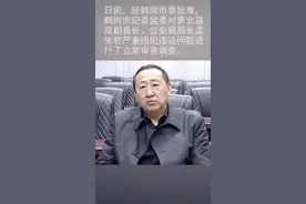 萝北县原副县长、公安局局长孟宪君严重违纪违法被开除党籍和公职视频封面