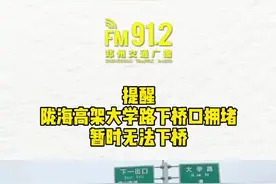 提醒：陇海高架大学路下桥口车多拥堵，暂时无法下桥#一起扛向前行视频封面