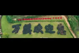 #乡村振兴 昆明呈贡万溪冲：梨花开放这十年视频封面