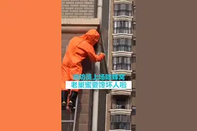 消防员专业除蜂窝，满满的都是蜂蜜，可馋坏人了，“哎呀妈呀太浪费啦”😂#消防蓝朋友 #抖in齐鲁视频封面