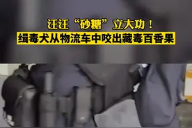 #禁毒日 汪汪“砂糖”立大功！云南德宏 #警犬 从物流车中咬出藏毒百香果！#禁毒#国际禁毒日 视频封面