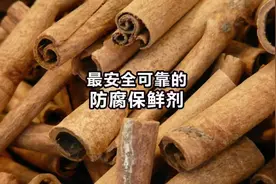 世界上蕞安全可靠的食品防腐保鲜剂：肉桂酸钾。#餐饮创业 #卤菜