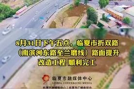 好消息！8月31日下午五点，临夏市折双路（南滨河东路至兰磨线）路面提升改造工程 顺利完工，蝴蝶桥交叉路口全面通车。#交通出行 #城市 #临夏@临夏市公安交警