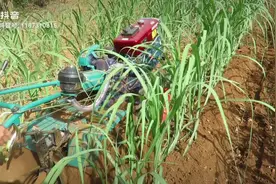 桂牛多功能微耕机操作及农机具安装的示范性演示。视频封面