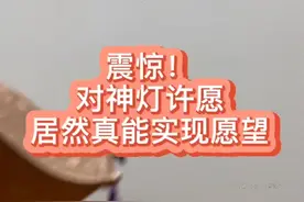 据说对着神毯许愿就能实现愿望，看看我都实现了啥😭😭#阿拉丁 #神灯视频封面